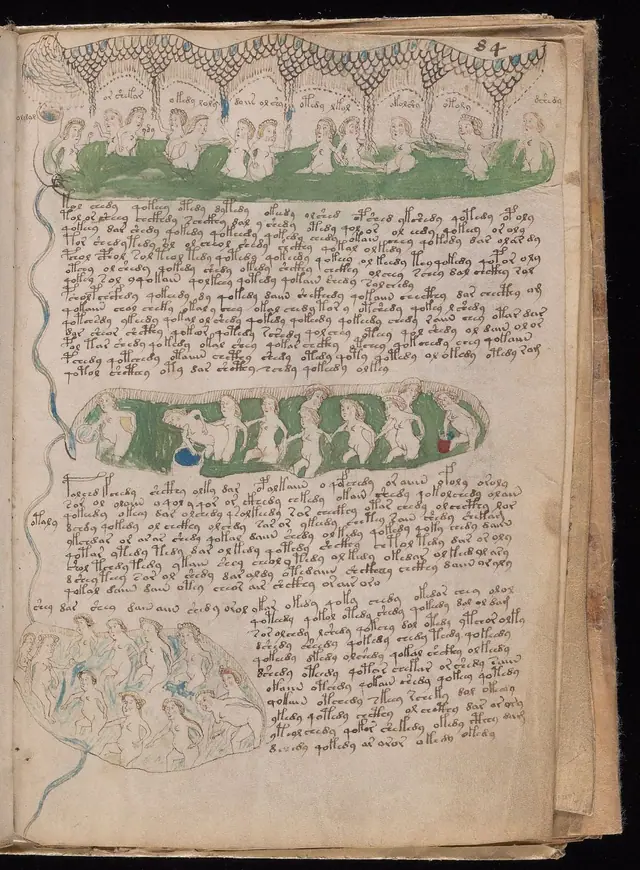 Folio 84r of the Voynich Manuscript, bathing section