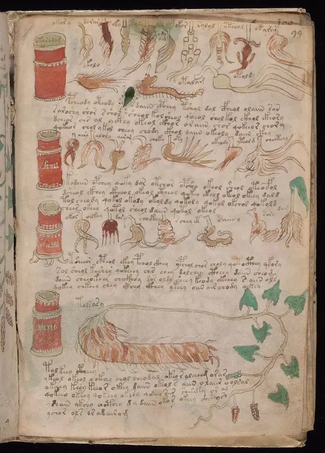 Folio 99r of the Voynich Manuscript, pharmaceutical section