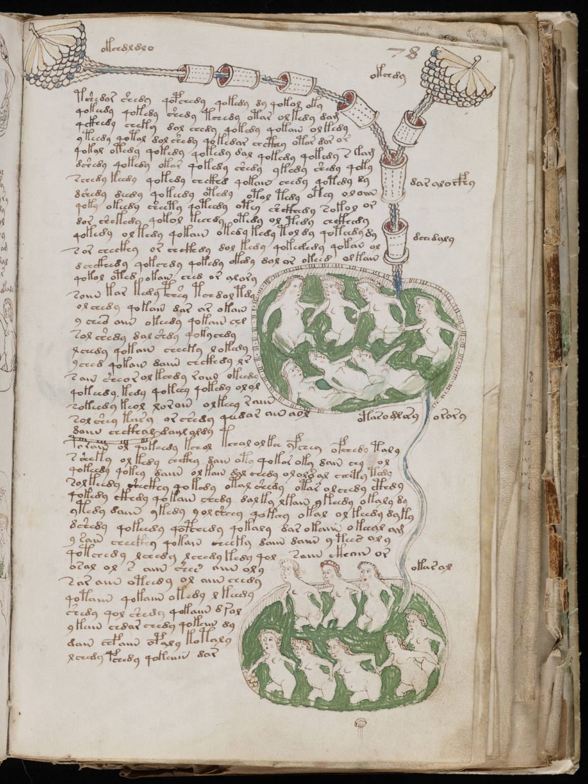 Voynich Manuscript — Astronomical section, folio f68r3