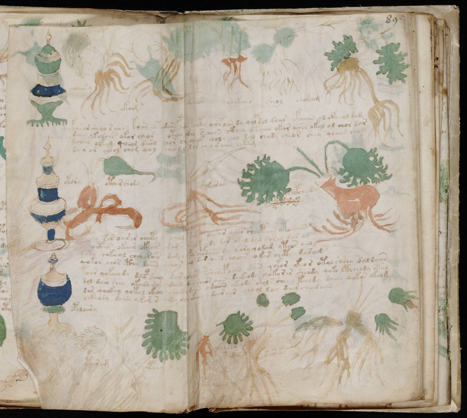 Voynich Manuscript — Cosmological section, folio f86v