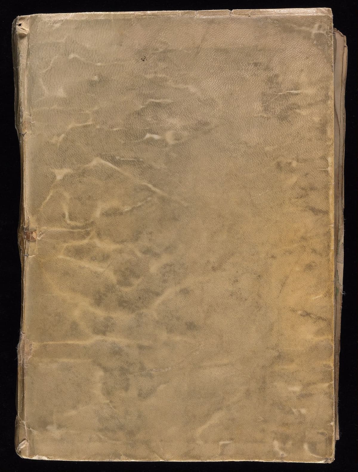 Front cover of the Voynich Manuscript