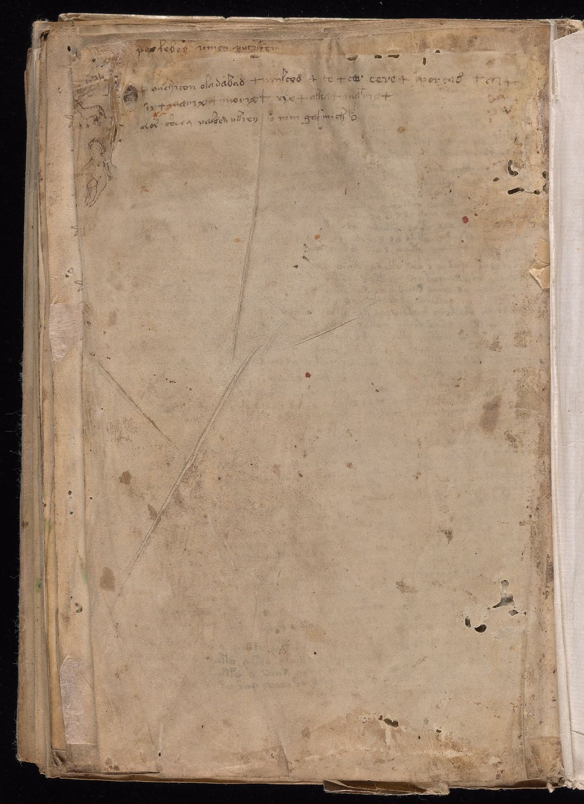 Folio 116v of the Voynich Manuscript, recipes section