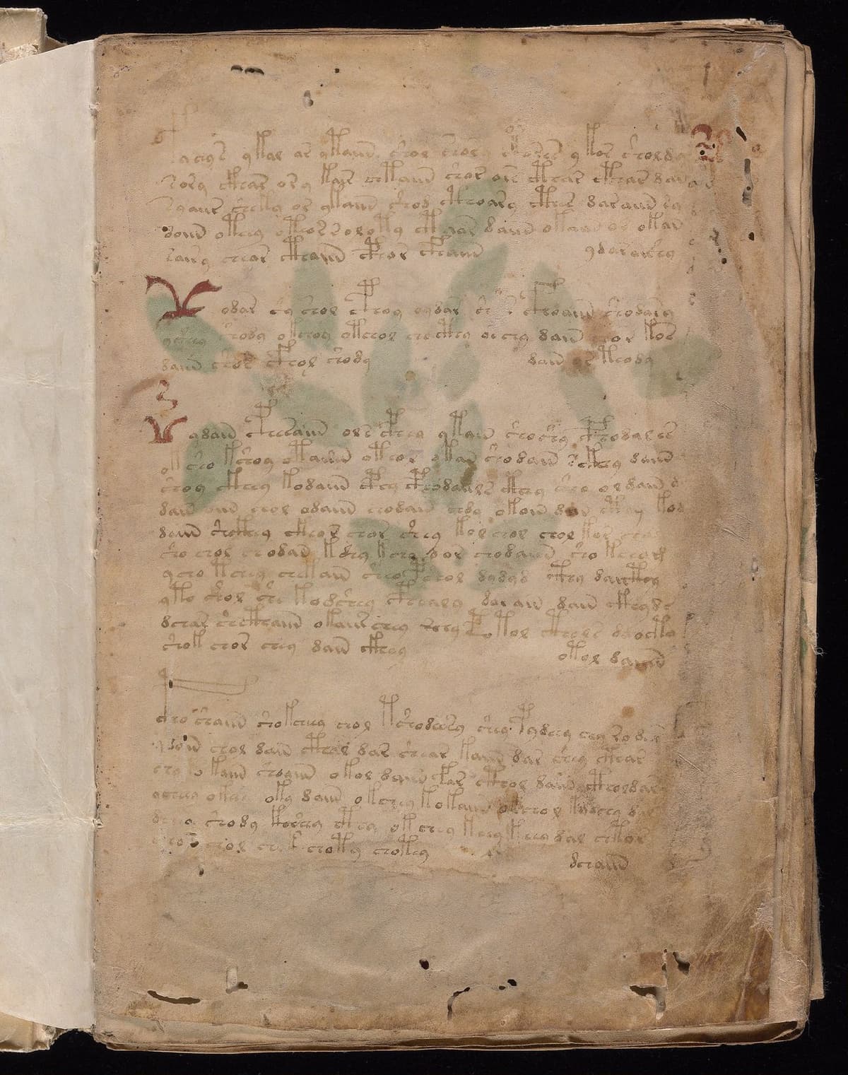 Folio 1r of the Voynich Manuscript
