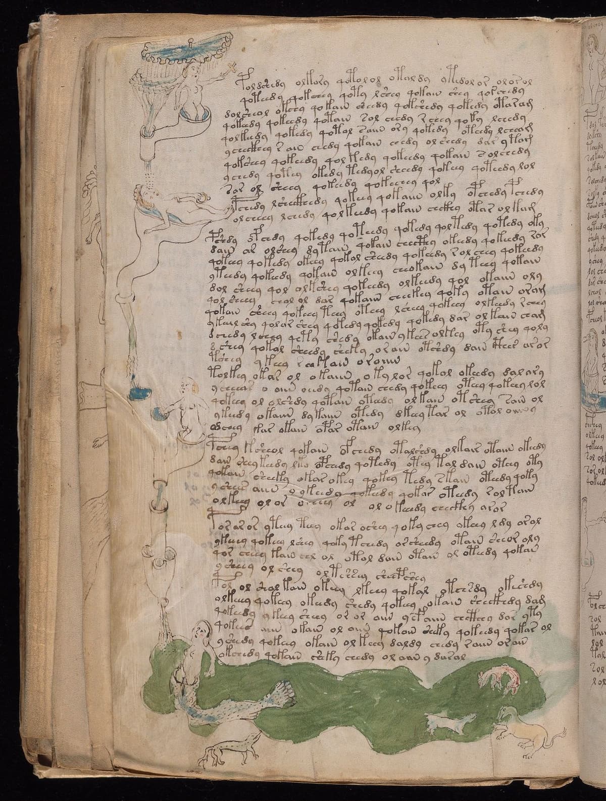 Folio 79v of the Voynich Manuscript