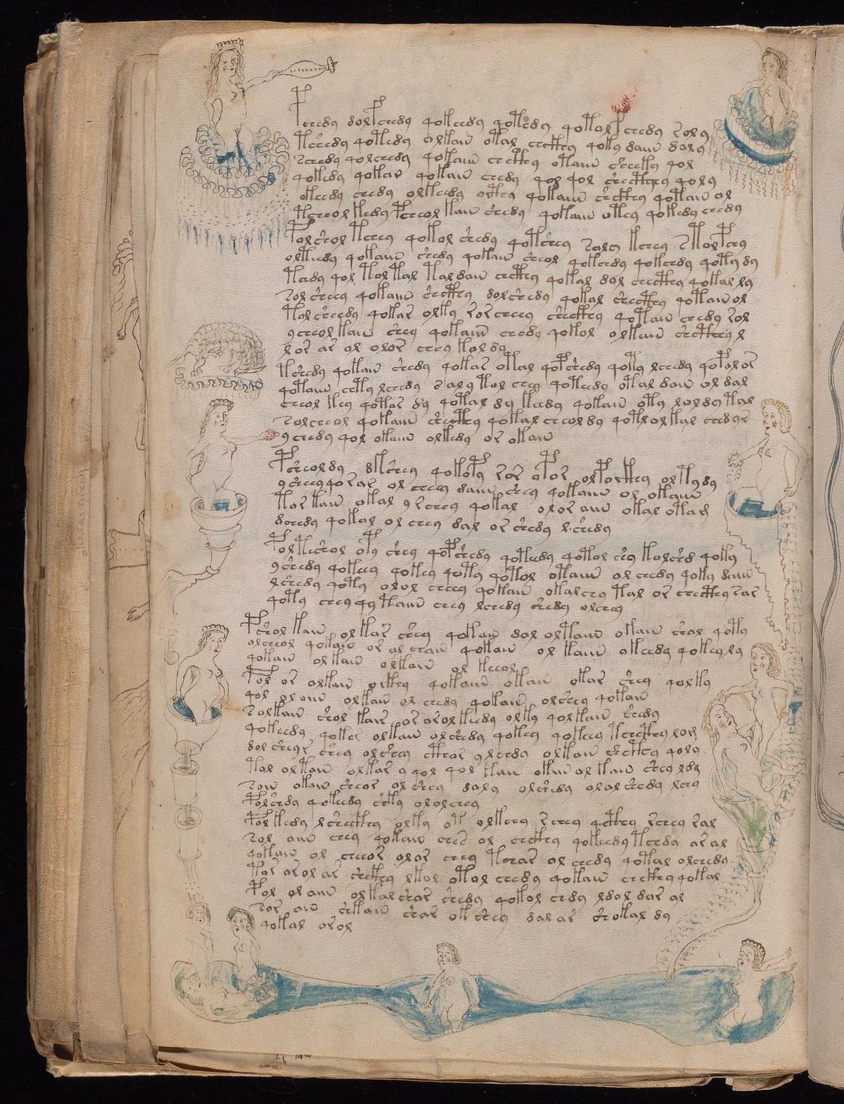 Folio 80v of the Voynich Manuscript, bathing section