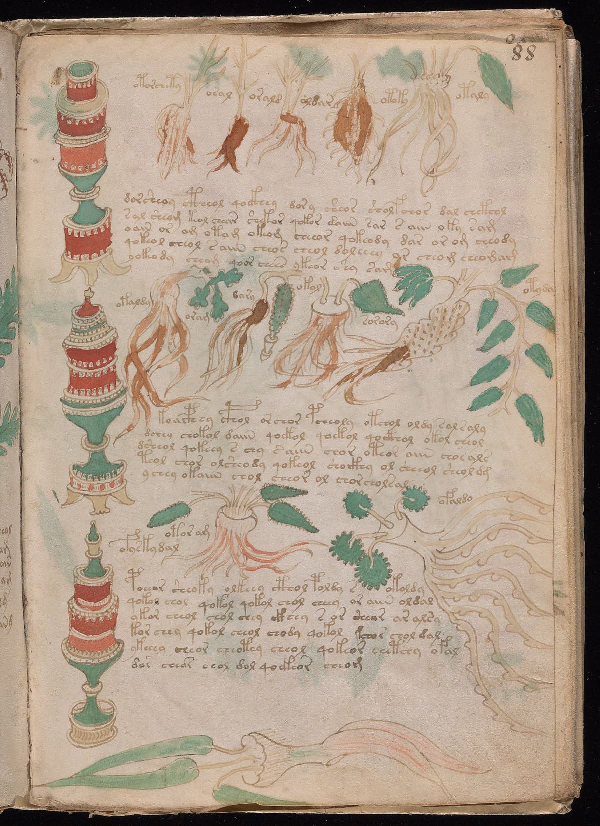 Folio 88r of the Voynich Manuscript, pharmaceutical section