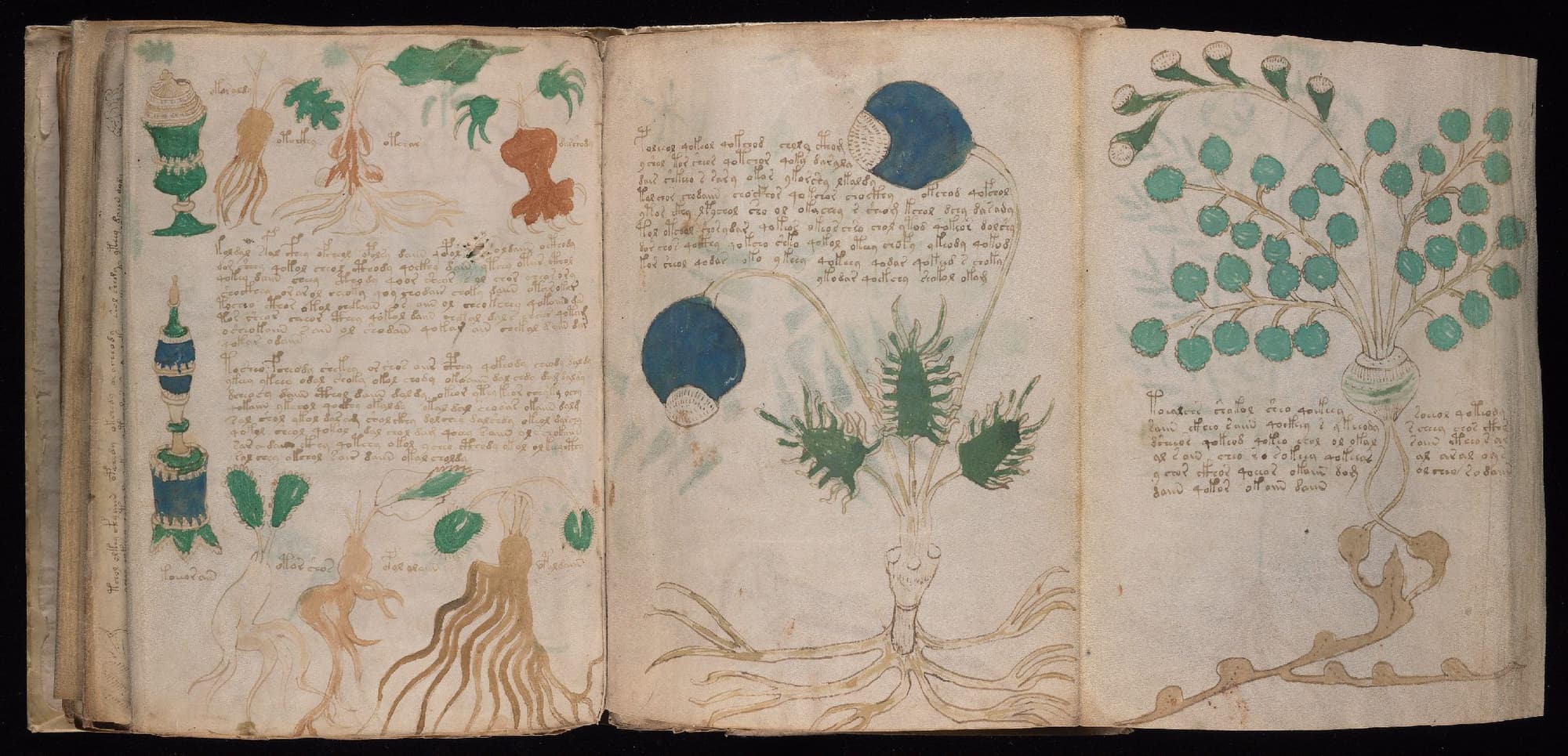 Folio 89v (part) and 90r of the Voynich Manuscript, pharmaceutical section