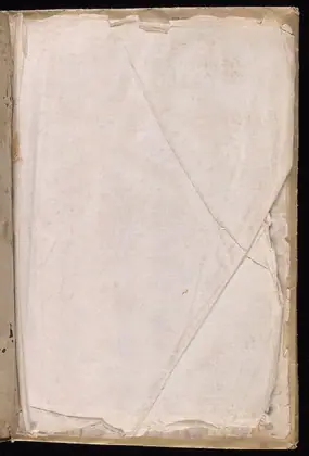 Back flyleaf recto of the Voynich Manuscript
