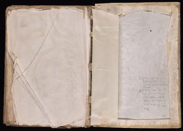 Back flyleaf verso-inside back cover of the Voynich Manuscript