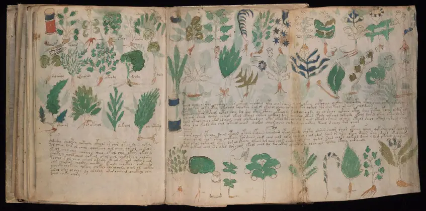 Folio 100v and 101r of the Voynich Manuscript