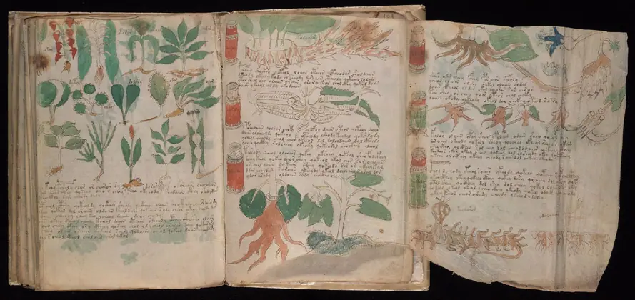 Folio 101v (part) and 102r of the Voynich Manuscript