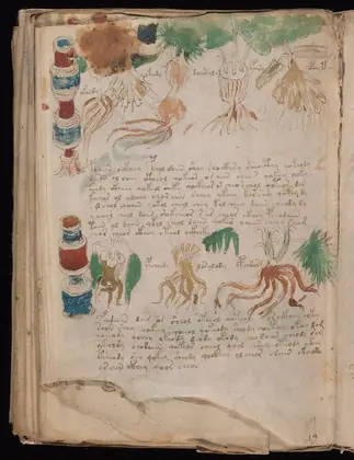 Folio 102v (part) of the Voynich Manuscript
