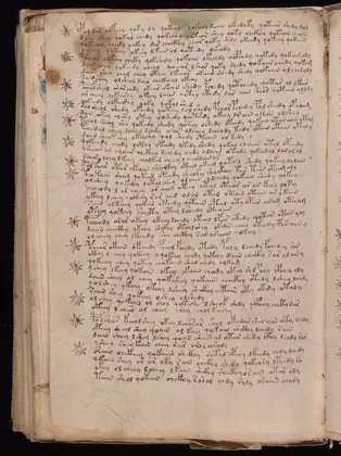Folio 103v of the Voynich Manuscript