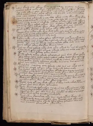 Folio 104v of the Voynich Manuscript