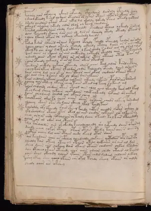 Folio 105v of the Voynich Manuscript
