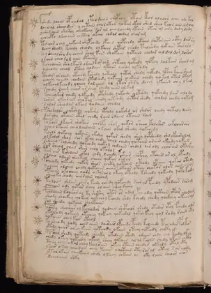 Folio 106v of the Voynich Manuscript
