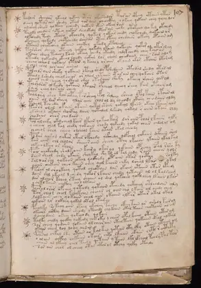 Folio 107r of the Voynich Manuscript