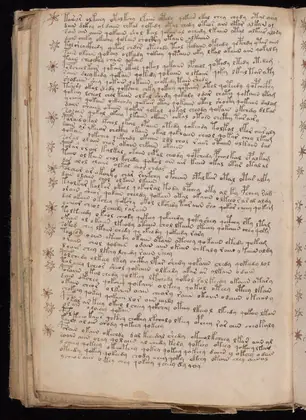 Folio 107v of the Voynich Manuscript