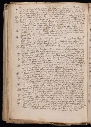 Folio 108v of the Voynich Manuscript