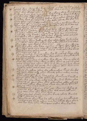 Folio 113v of the Voynich Manuscript