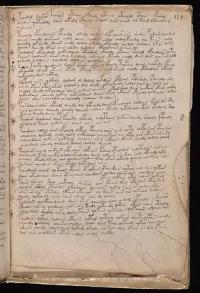 Folio 114r of the Voynich Manuscript