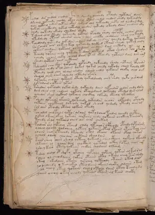 Folio 114v of the Voynich Manuscript