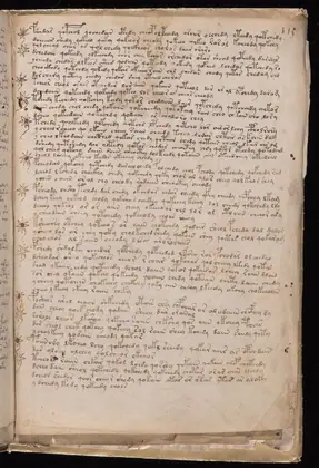 Folio 115r of the Voynich Manuscript