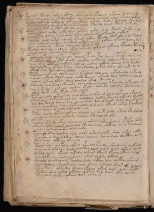 Folio 115v of the Voynich Manuscript