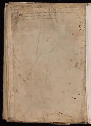 Folio 116v of the Voynich Manuscript