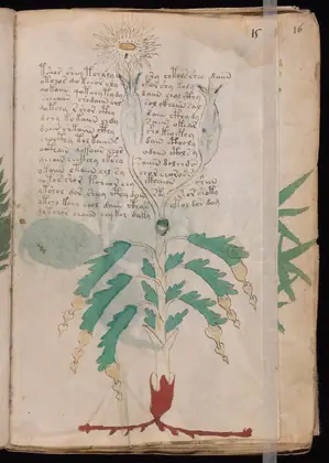 Folio 15r of the Voynich Manuscript