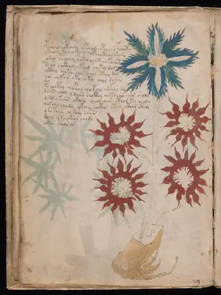 Folio 16v of the Voynich Manuscript