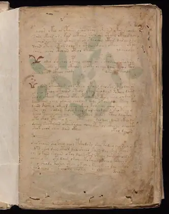 Folio 1r of the Voynich Manuscript