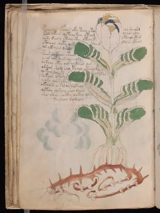 Folio 22v of the Voynich Manuscript
