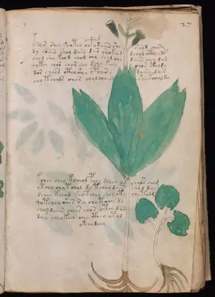Folio 27r of the Voynich Manuscript