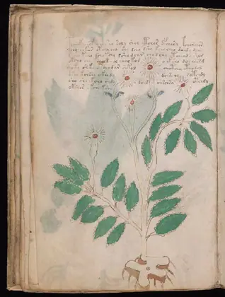 Folio 27v of the Voynich Manuscript