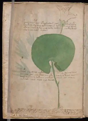 Folio 2v of the Voynich Manuscript