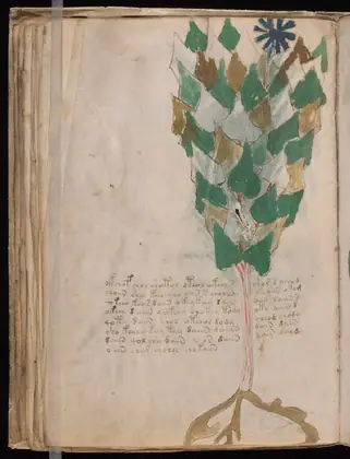 Folio 38v of the Voynich Manuscript