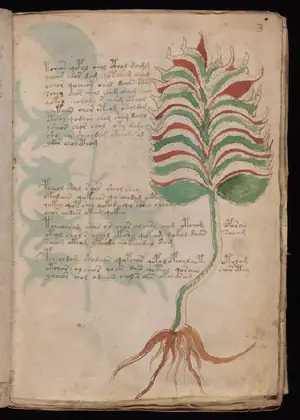 Folio 3r of the Voynich Manuscript