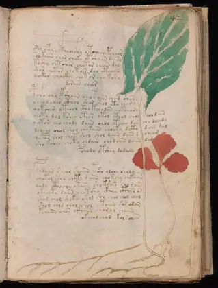 Folio 42r of the Voynich Manuscript
