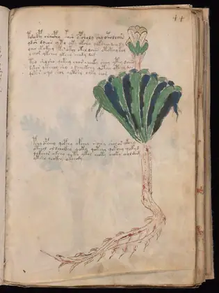 Folio 44r of the Voynich Manuscript