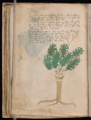 Folio 44v of the Voynich Manuscript