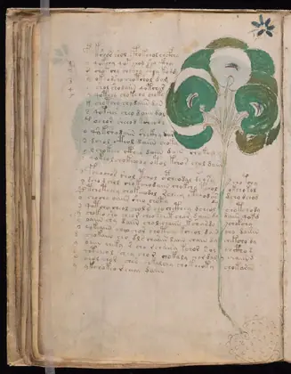 Folio 49v of the Voynich Manuscript