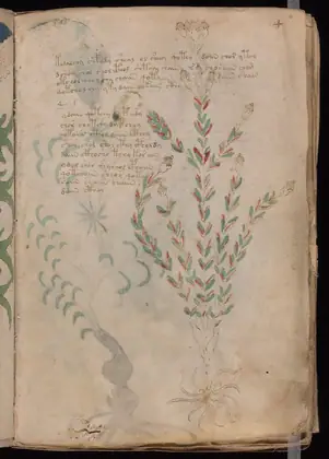 Folio 4r of the Voynich Manuscript