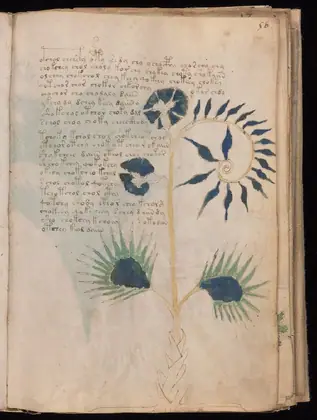 Folio 56r of the Voynich Manuscript