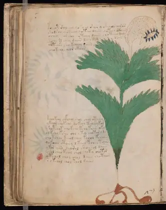 Folio 56v of the Voynich Manuscript