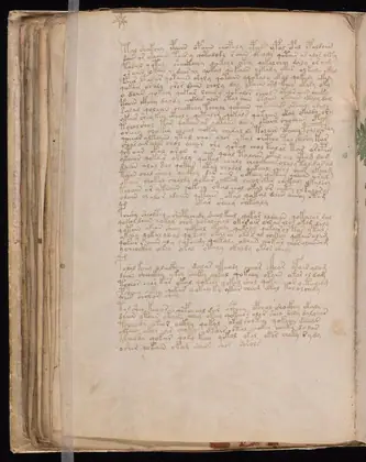 Folio 58v of the Voynich Manuscript