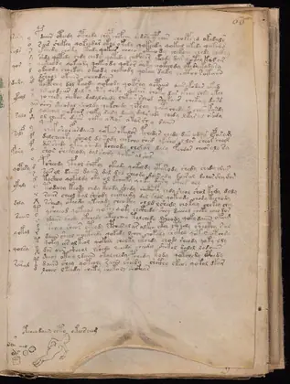 Folio 66r of the Voynich Manuscript