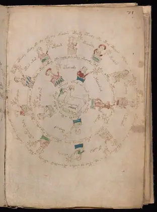 Folio 71r of the Voynich Manuscript