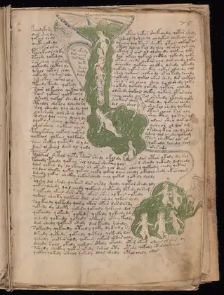 Folio 75r of the Voynich Manuscript