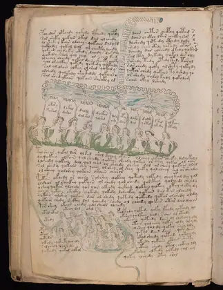 Folio 75v of the Voynich Manuscript